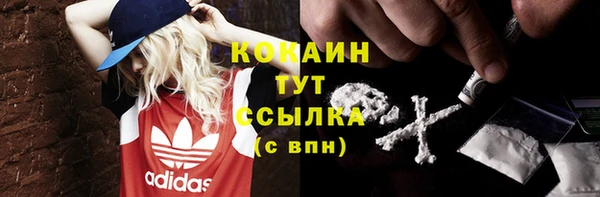 твердый Кулебаки