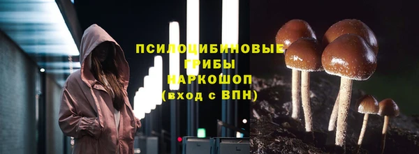 гидропоника Кукмор