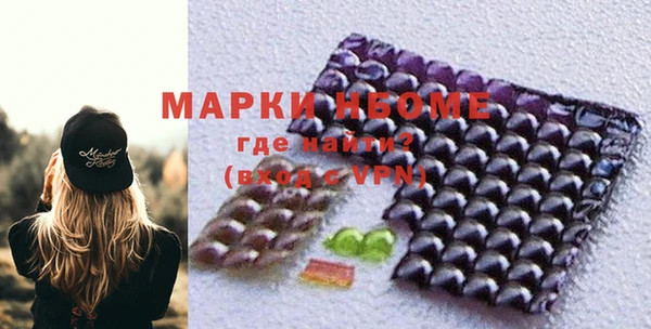 твердый Кулебаки